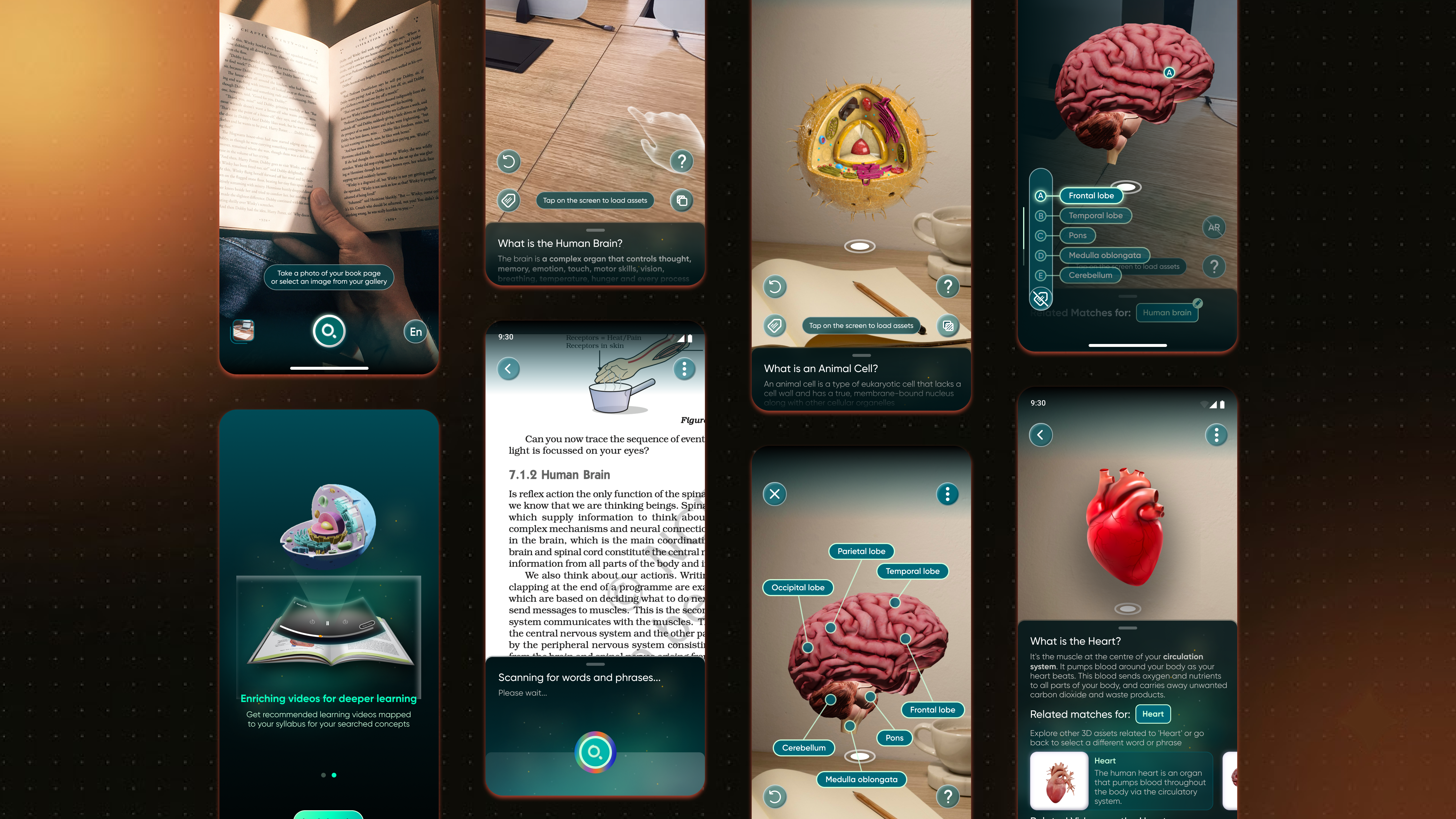 Lens AR app screens — textbook scan, 3D brain model, labeled organ viewer, related matches