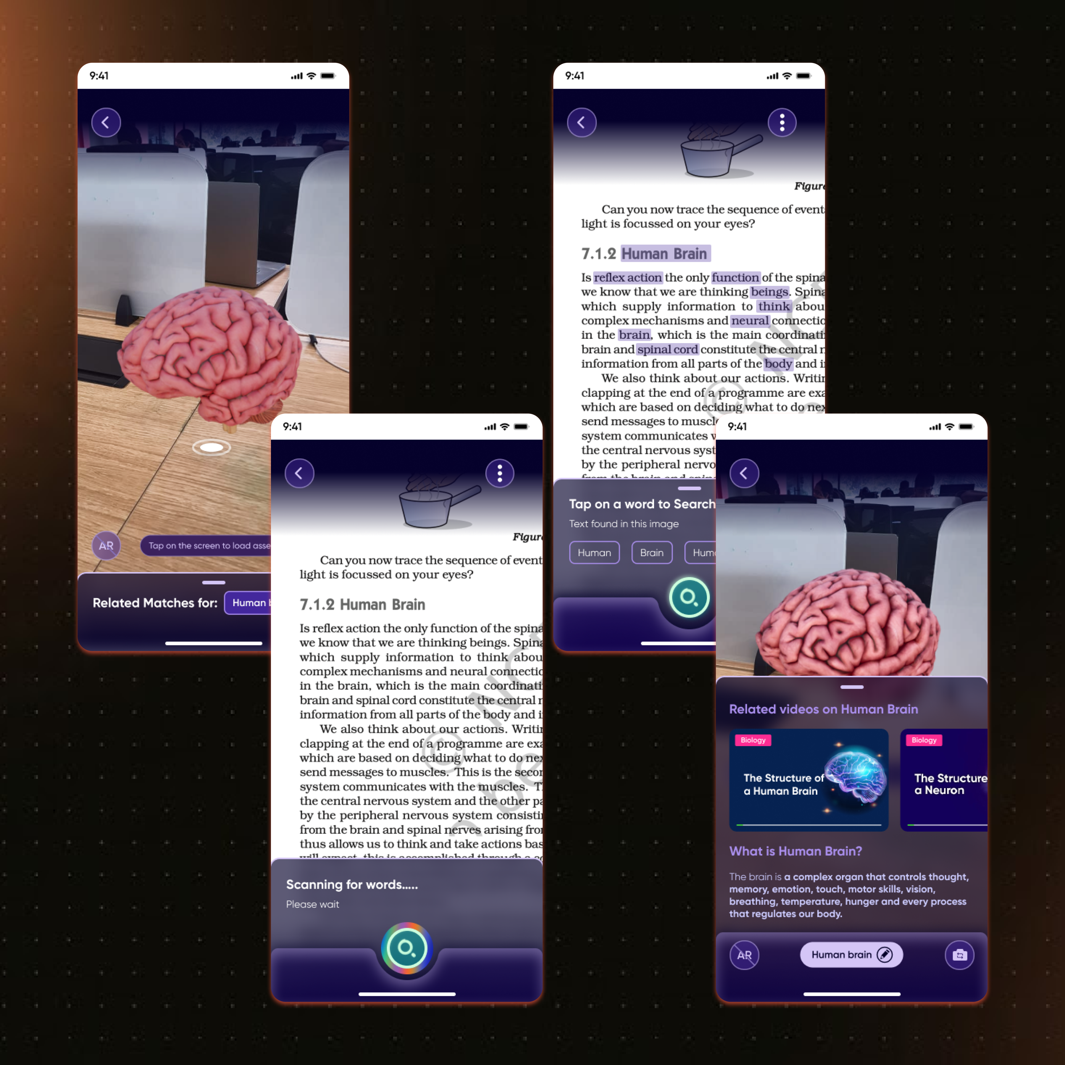Lens iteration 2 screens — tap-to-search text, 3D brain viewer, AR placement