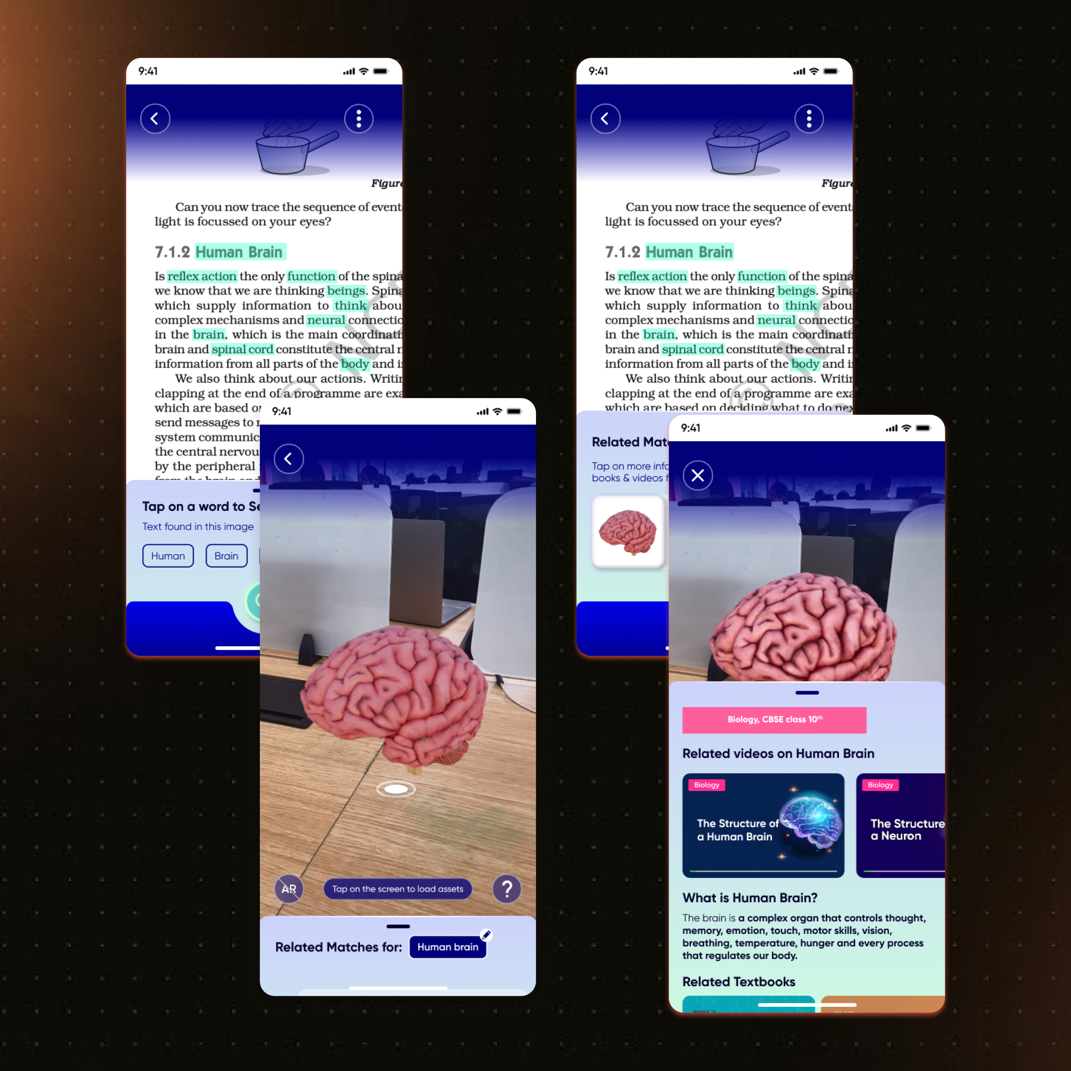 Lens iteration 3 screens — highlighted textbook terms, AR brain placement, related videos and textbooks