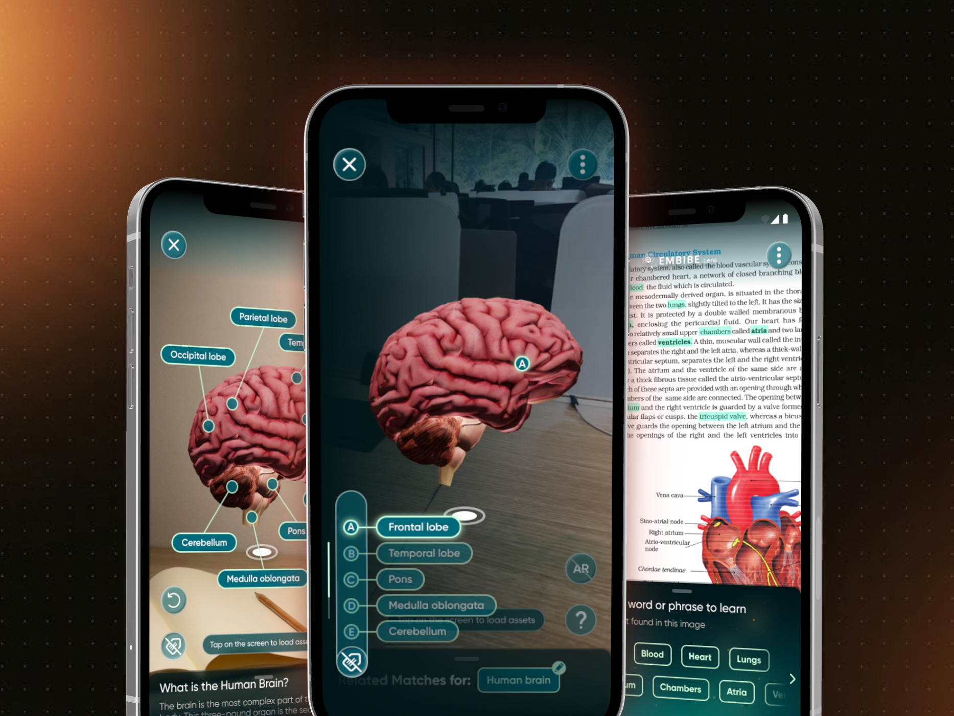 Lens AR learning app preview